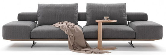 ODM seccional cómodo estupendo de Sofa Ergonomic Living Room Furniture de la espuma de alta densidad