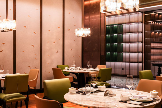 Muebles de hotel y restaurante acabados con varias formas y estilo moderno